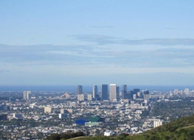 3003-runyon-2